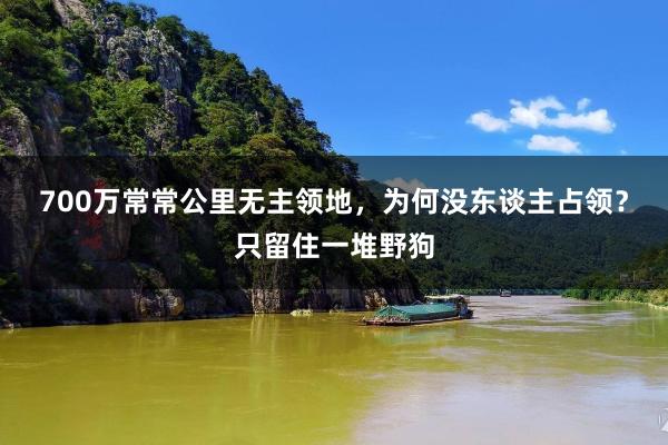 700万常常公里无主领地，为何没东谈主占领？只留住一堆野狗